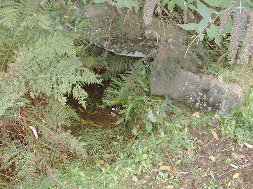 Carn Brea Holy Well