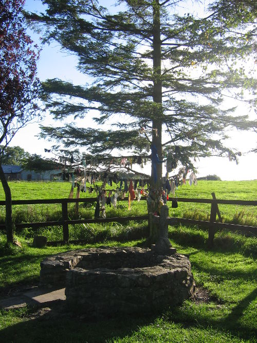 Kildare Holy Well and Holy Tree
