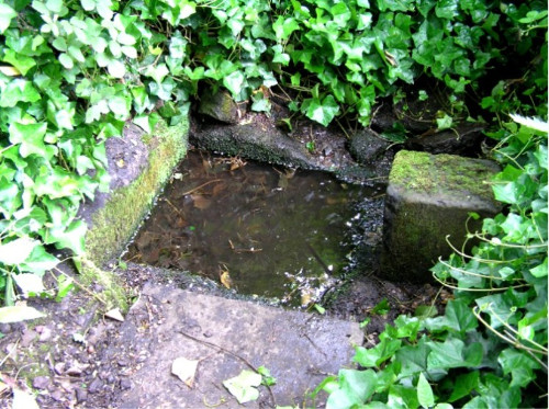 St Baldred&rsquo;s well