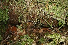 St Bega's Well, St Bees